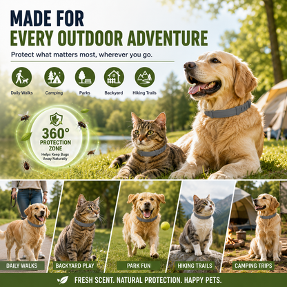 🐾 Best Flea & Tick Collar for Pets