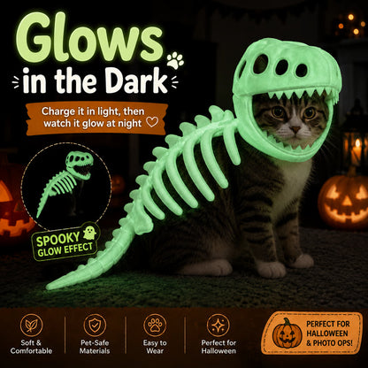 🦖 Glow-in-the-Dark Dinosaur Skeleton Pet Costume