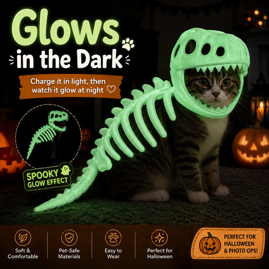 🦖 Glow-in-the-Dark Dinosaur Skeleton Pet Costume